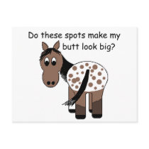 Big Butt Blanket Appaloosa Postcard