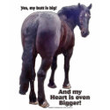 Big Butt Percheron shirt