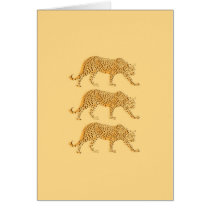 Big Cat Cool Leopards Picture Cards