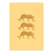 Big Cat Cool Leopards Picture Poster