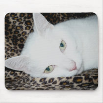 Big Cat Dreams mousepads