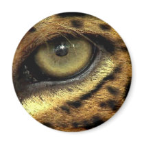 BIG CAT Endangered Species Series Refrigerator Magnets