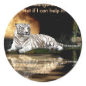 BIG CAT Endangered Species Series stickers