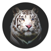 Big Cat Envelope Seals Stickers