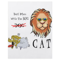 Big Cat Flyers
