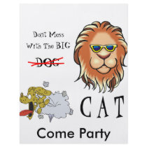 Big Cat flyers