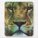 BIG CAT: Lion. Tiger, Panther Mouse Pads mousepads
