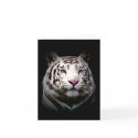 Big Cat Note Cards by RookyStudios Big Cat Note Cards