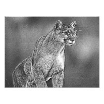 BIG CAT PHOTO PRINT