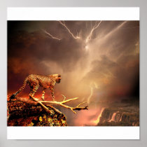 BIG CAT POSTERS