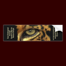BIG CAT RESCUE Bumper sticker bumper stickers by RavenSpiritPrints BIG CAT RESCUE Bumper sticker bumper stickers