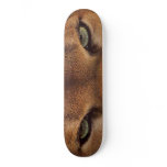 BIG CAT SKATEBOARD-6 Wicked Mountain -Cougar