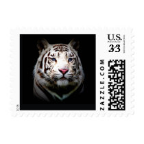 Big Cat Stamps