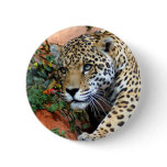 Big Cats - 10 buttons