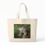 Big Cats - 11 Bag