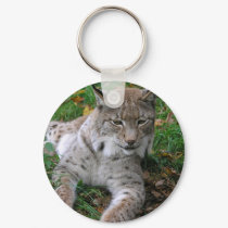 Big Cats - 11 keychains by MuseMagic Big Cats - 11 keychains
