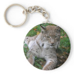 Big Cats - 11 keychains