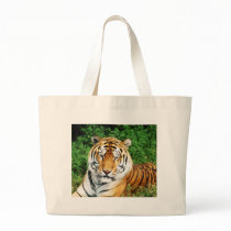 Big Cats - 12 bags by MuseMagic Big Cats - 12 bags