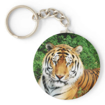 Big Cats - 12 Key Chains