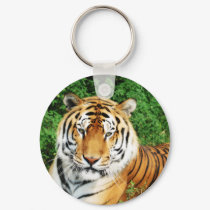 Big Cats - 12 keychains by MuseMagic Big Cats - 12 keychains
