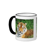 Big Cats - 12 Mug