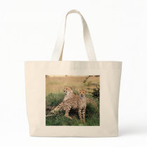 Big Cats - 13 Tote Bag