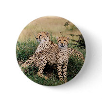 Big Cats - 13 buttons by MuseMagic Big Cats - 13 buttons
