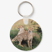 Big Cats - 13 keychains by MuseMagic Big Cats - 13 keychains