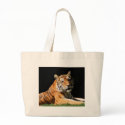 Big Cats  - 1 bags