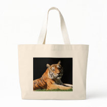 Big Cats  - 1 Canvas Bags