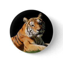 Big Cats - 1 buttons by MuseMagic Big Cats - 1 buttons