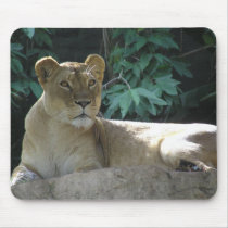Big Cats - 2 mousepads by MuseMagic Big Cats - 2 mousepads
