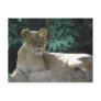 Big Cats  - 2 Postcards