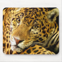 Big Cats - 3 mousepads by MuseMagic Big Cats - 3 mousepads