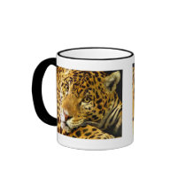 Big Cats - 3 mugs by MuseMagic Big Cats - 3 mugs