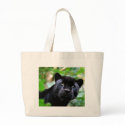 Big Cats  - 4 bags
