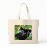 Big Cats  - 4 bags