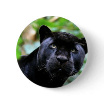Big Cats  - 4 Buttons