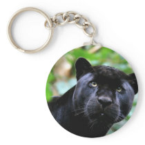 Big Cats - 4 Key Chain