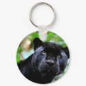 Big Cats - 4 keychains by MuseMagic Big Cats - 4 keychains