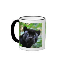 Big Cats  - 4 Coffee Mug