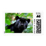 Big Cats - 4 Postage Stamp