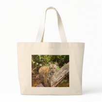 Big Cats - 5 bags by MuseMagic Big Cats - 5 bags