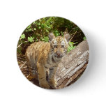 Big Cats - 5 buttons