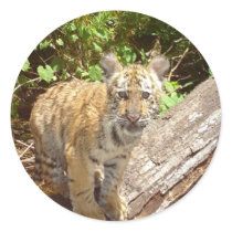 Big Cats - 5 stickers by MuseMagic Big Cats - 5 stickers