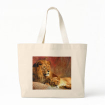 Big Cats - 6 Bags