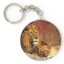 Big Cats - 6 Key Chains