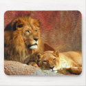 Big Cats - 6 mousepads by MuseMagic Big Cats - 6 mousepads