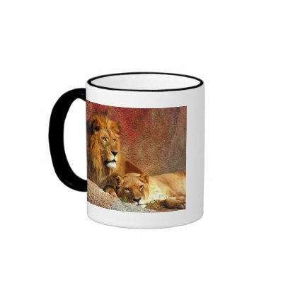 Big Cats - 6 Coffee Mugs