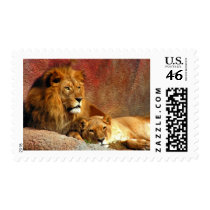 Big Cats - 6 Postage